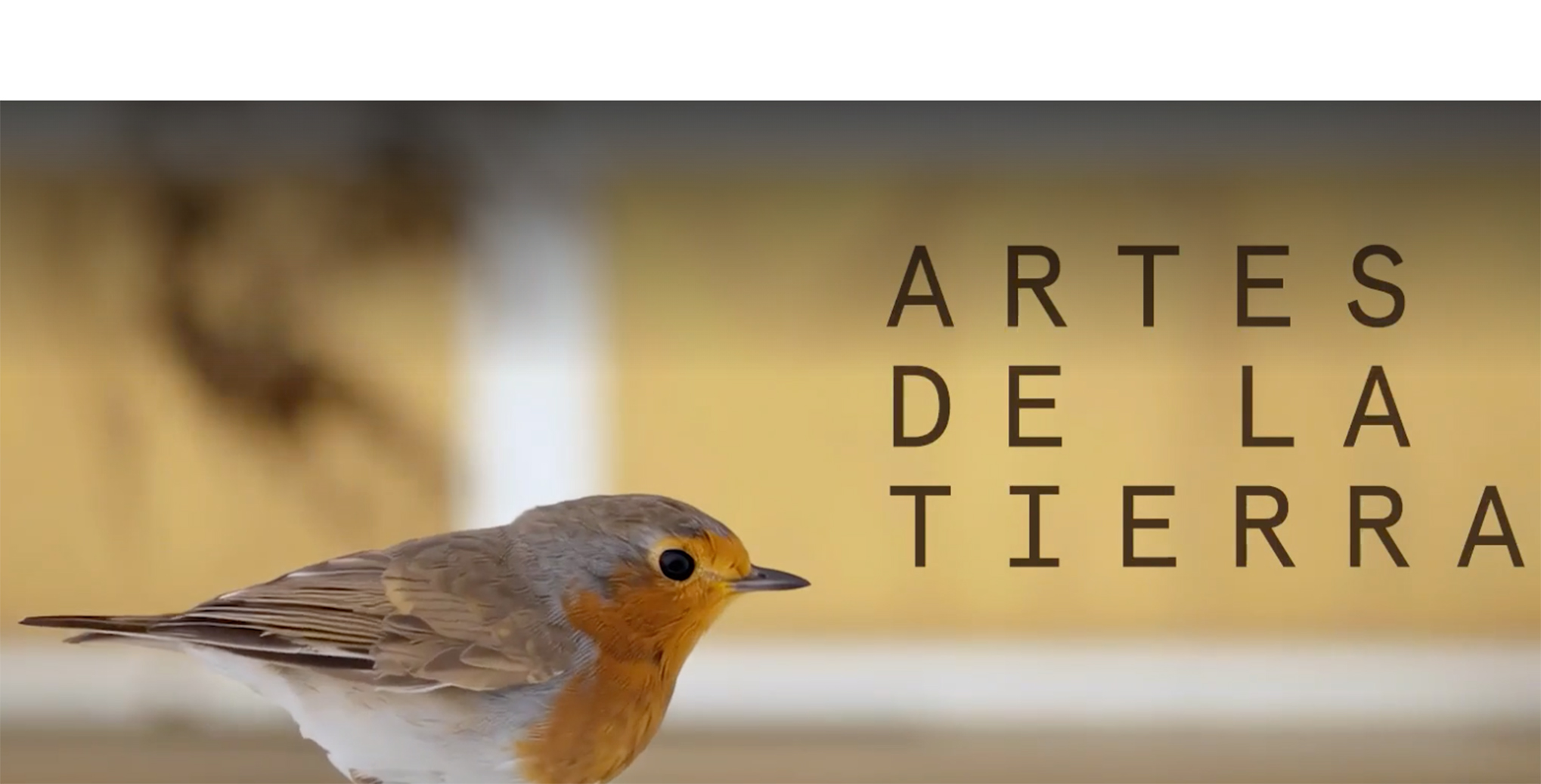 El Museo Guggenheim Bilbao ha inaugurado la exposición "Artes de la Tierra" con el patrocinio de Iberdrola